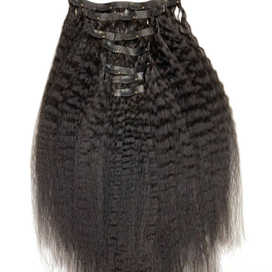 Naani Udo Studio Raw Vietnamese Kinky Straight Clip-Ins